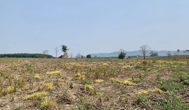 ขายที่ดินเปล่า  วิวสวย อยู่บนเนินเขา  จ.เชียงราย