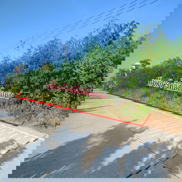 ขายที่นา10ไร่ บึงกาสาม คลอง9 ปทุมธานี ติดถนนคอนกรีต 2 เลนส์