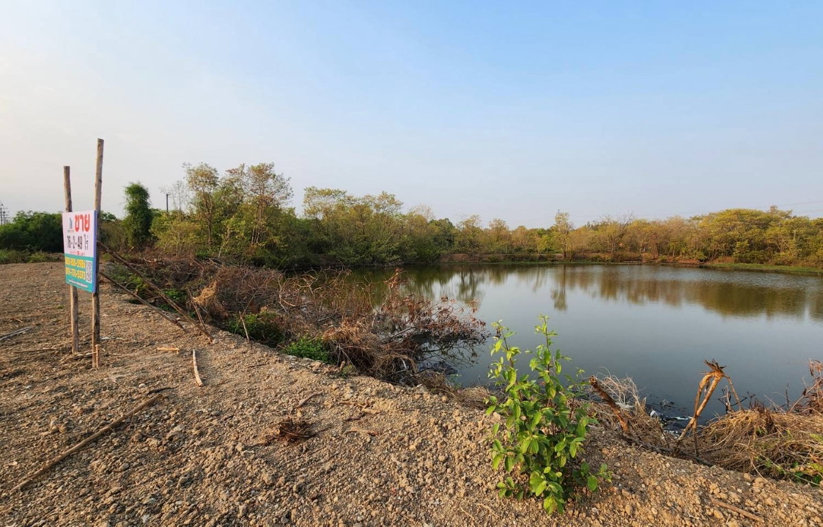 รูป ขายที่ดินติดถนนใหญ่ บ้านโพธิ์ ฉะเชิงเทรา 42-2-47 ไร่ ทำเลดี ใกล้นิคมอุตสาหกรรม - รูปที่ 2/10