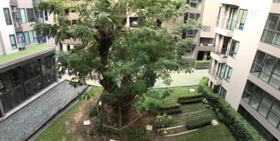 รูป 🚩 ให้เช่าคอนโด เซ็นทริค อารีย์ สเตชั่น อาคาร B ชั้น 4 1 ห้องนอน ขนาด 33.00 ตรม ใกล้ ธนาคารกสิกรไทย สาขาสำนักงานใหญ่พหลโยธิน - รูปที่ 8/8