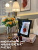 listing thumbnail image 17
