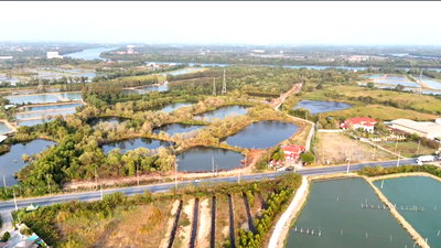 ที่ดิน นิคมที เอฟ ดี 2 : ขายที่ดินติดถนนใหญ่ บ้านโพธิ์ ฉะเชิงเทรา 42-2-47 ไร่ ทำเลดี ใกล้นิคมอุตสาหกรรม