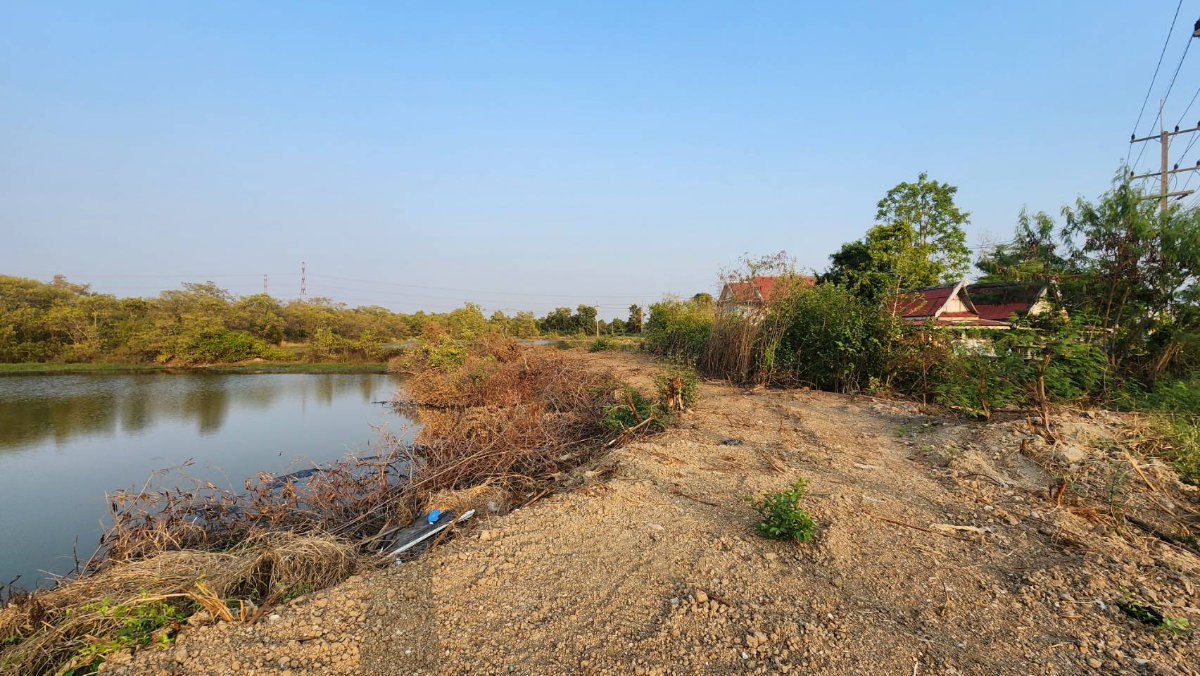 รูป ขายที่ดินติดถนนใหญ่ บ้านโพธิ์ ฉะเชิงเทรา 42-2-47 ไร่ ทำเลดี ใกล้นิคมอุตสาหกรรม - รูปที่ 7/10