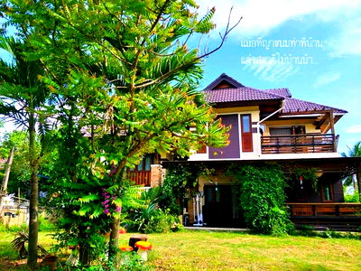 บ้านเดี่ยว เมืองพะเยา พะเยา : บ้านเดี่ยวสองชั้นในพื้นที่ชานเมืองพะเยา