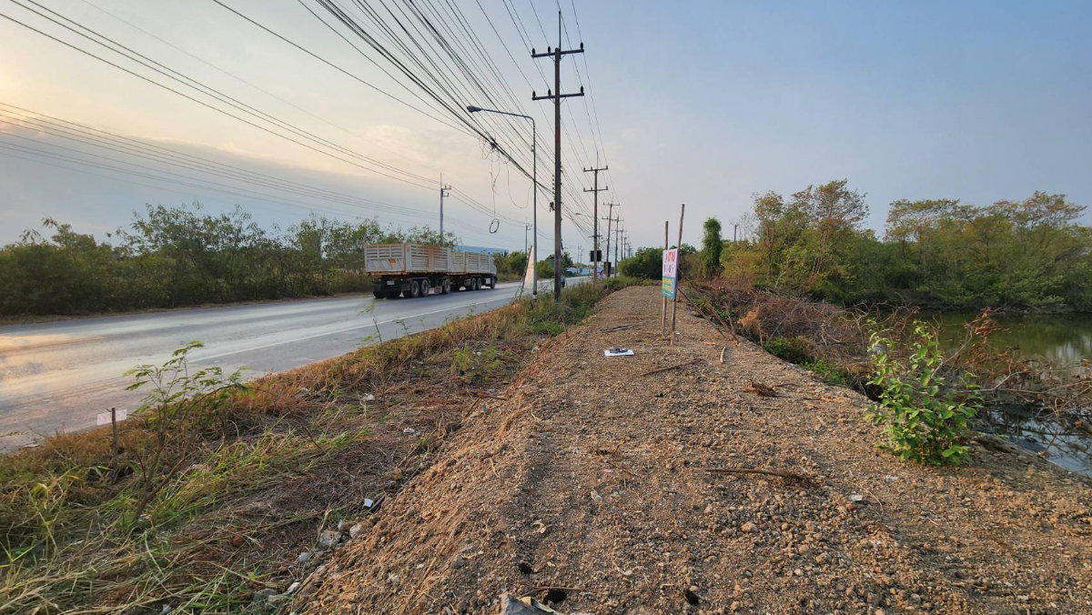 รูป ขายที่ดินติดถนนใหญ่ บ้านโพธิ์ ฉะเชิงเทรา 42-2-47 ไร่ ทำเลดี ใกล้นิคมอุตสาหกรรม - รูปที่ 6/10