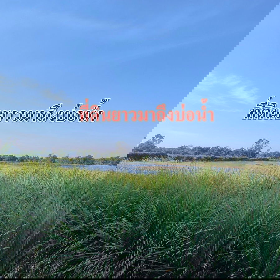รูป ขายที่นา10ไร่ บึงกาสาม คลอง9 ปทุมธานี ติดถนนคอนกรีต 2 เลนส์ - รูปที่ 4/7