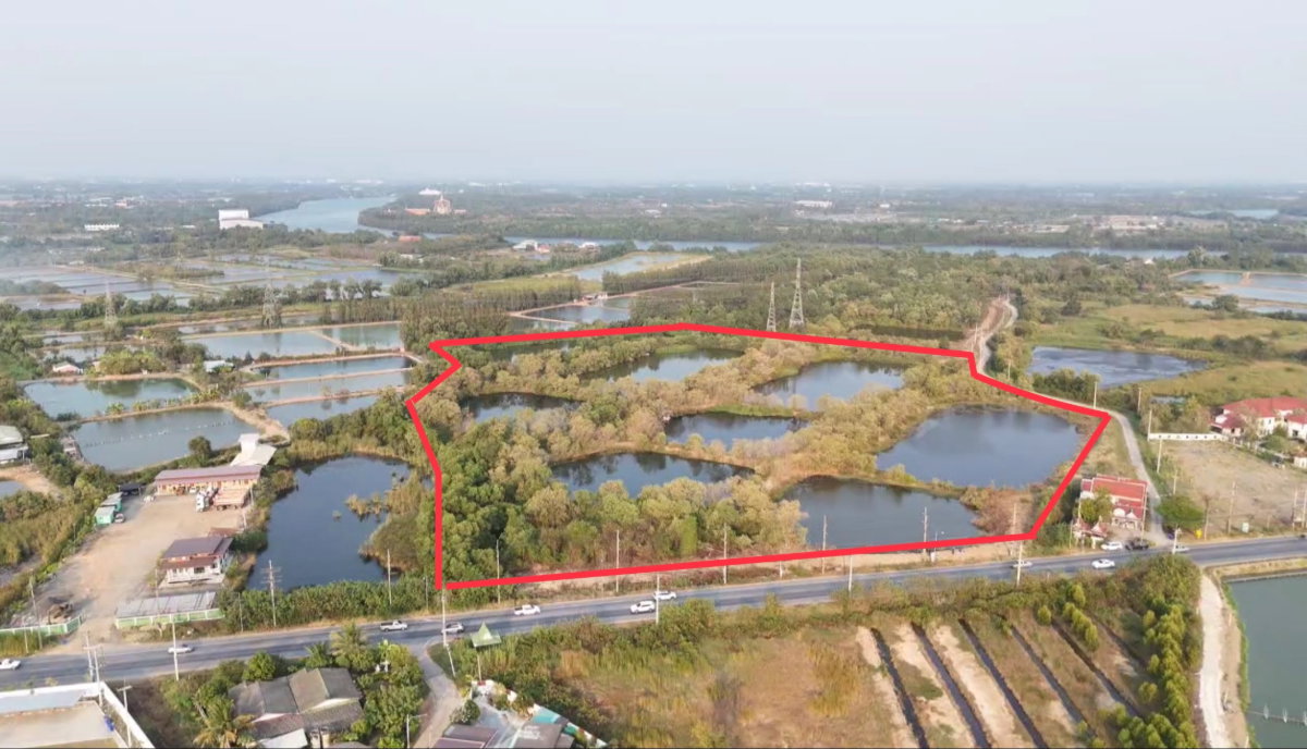 รูป ขายที่ดินติดถนนใหญ่ บ้านโพธิ์ ฉะเชิงเทรา 42-2-47 ไร่ ทำเลดี ใกล้นิคมอุตสาหกรรม - รูปที่ 10/10