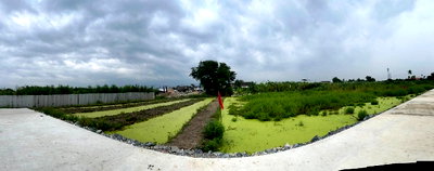 ที่ดิน วิทยาลัยเทคโนโลยีธนบุรี : ที่ดินเปล่าพื้นที่สีเหลือง 414 ตารางวาแบ่งขาย 200 ตารางวา