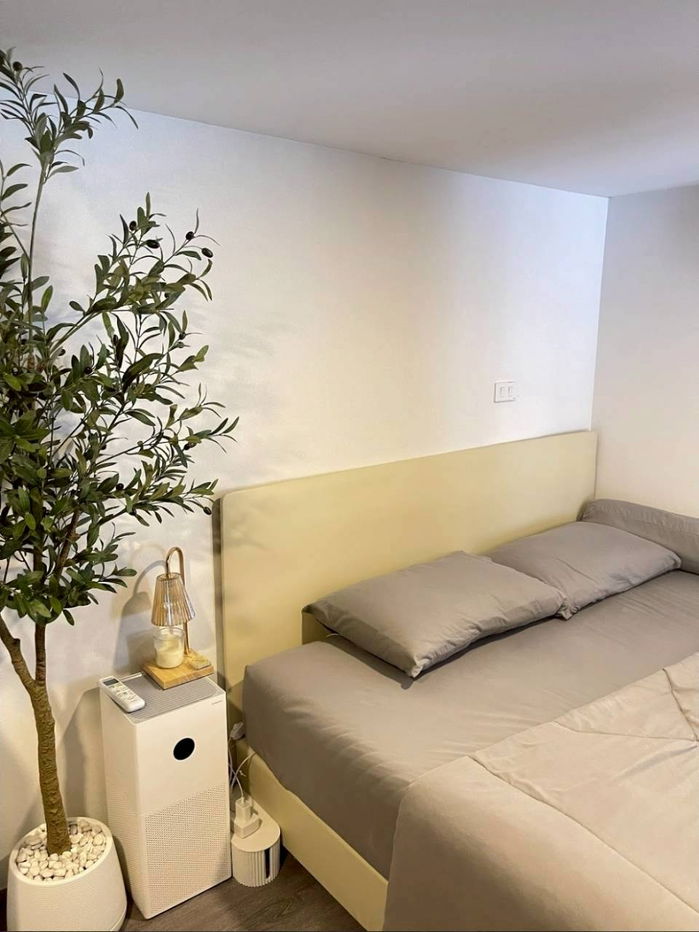 รูป ✅ OLK132 ✅ Line : @p2nproperty - รูปที่ 3/12