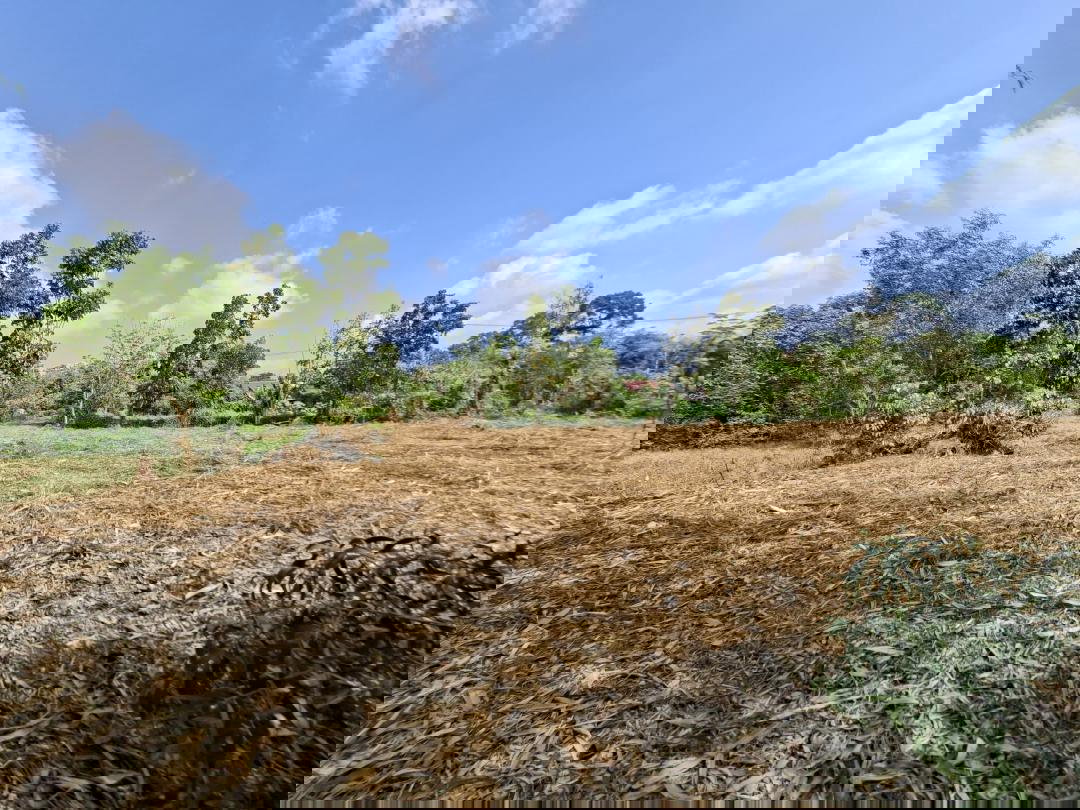 รูป ขายที่ดิน 5-2-55.4 ไร่ ใกล้แหล่งท่องเที่ยว น้ำตกสาริกา น้ำตกนางรอง ใกล้เขื่อนขุนด่านปราการชล ตำบลเกาะหวาย อำเภอปากพลี จังหวัดนครนายก - รูปที่ 15/15