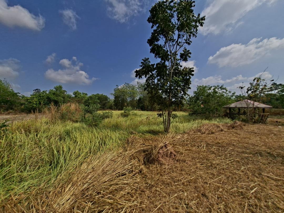 รูป ขายที่ดิน 5-2-55.4 ไร่ ใกล้แหล่งท่องเที่ยว น้ำตกสาริกา น้ำตกนางรอง ใกล้เขื่อนขุนด่านปราการชล ตำบลเกาะหวาย อำเภอปากพลี จังหวัดนครนายก - รูปที่ 6/15