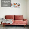 listing thumbnail image 19