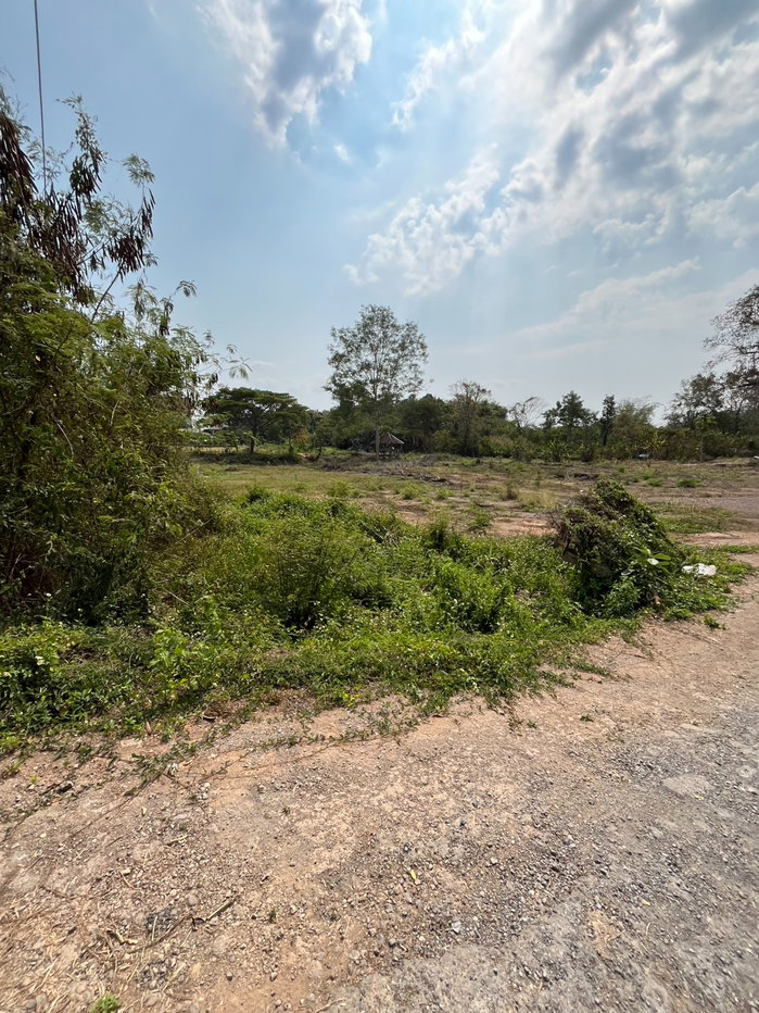 รูป ที่ดินแปลงใหญ่ รวม 14 ไร่ ศักยภาพสูง ทำเลตรงข้าม ท่าอากาศยานน่านนคร - รูปที่ 8/10