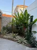 listing thumbnail image 19