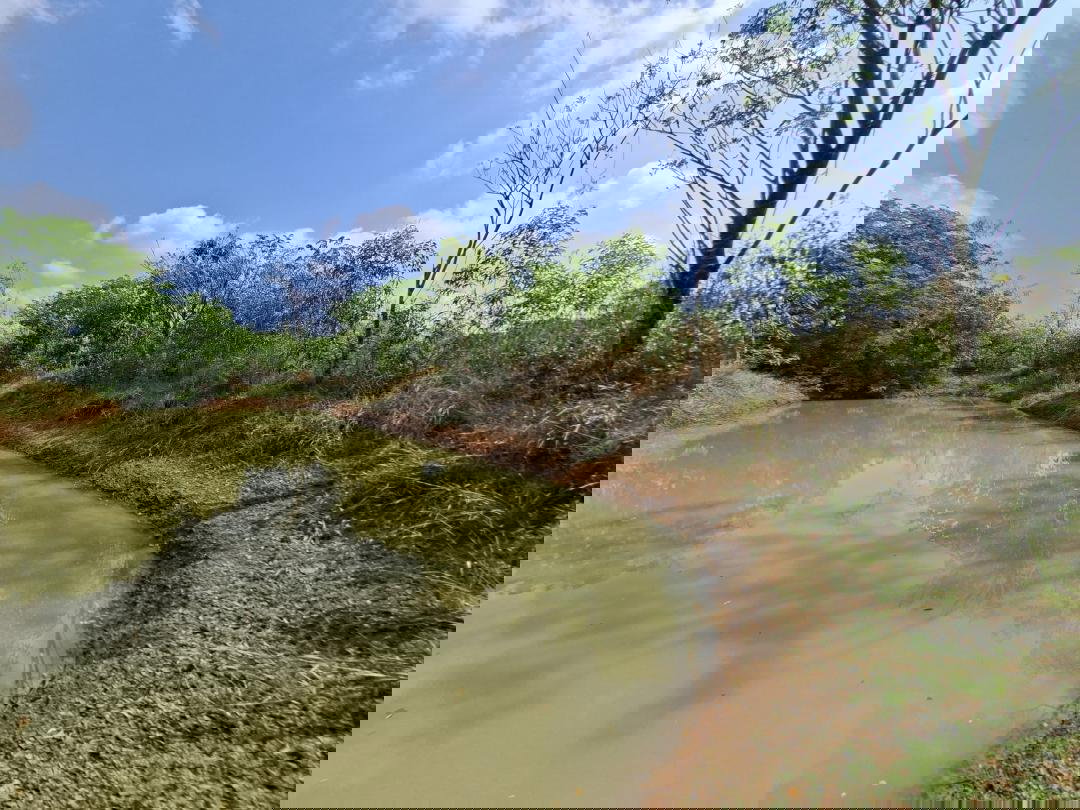 รูป ขายที่ดิน 5-2-55.4 ไร่ ใกล้แหล่งท่องเที่ยว น้ำตกสาริกา น้ำตกนางรอง ใกล้เขื่อนขุนด่านปราการชล ตำบลเกาะหวาย อำเภอปากพลี จังหวัดนครนายก - รูปที่ 9/15