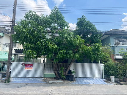 ขาย บ้านแฝด หมู่บ้านพรพิมาน (ติดถนนกาญจนาภิเษก) 47 ตร.ว. 2 ชั้น 4 นอน 2 น้ำ ปรับปรุงใหม่