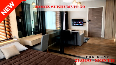 คอนโดให้เช่า : 🍀🍀 Fully furnished💝 ให้เช่า📌 โมดิซ สุขุมวิท 50(Line: @rent2022) BTS อ่อนนุช พร้อมเข้าอยู่ ราคาดี!!🔖A10839