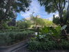 listing thumbnail image 36