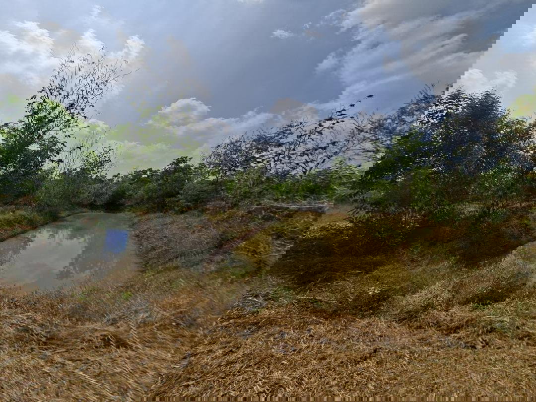 รูป ขายที่ดิน 5-2-55.4 ไร่ ใกล้แหล่งท่องเที่ยว น้ำตกสาริกา น้ำตกนางรอง ใกล้เขื่อนขุนด่านปราการชล ตำบลเกาะหวาย อำเภอปากพลี จังหวัดนครนายก - รูปที่ 13/15