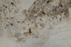 listing thumbnail image 124