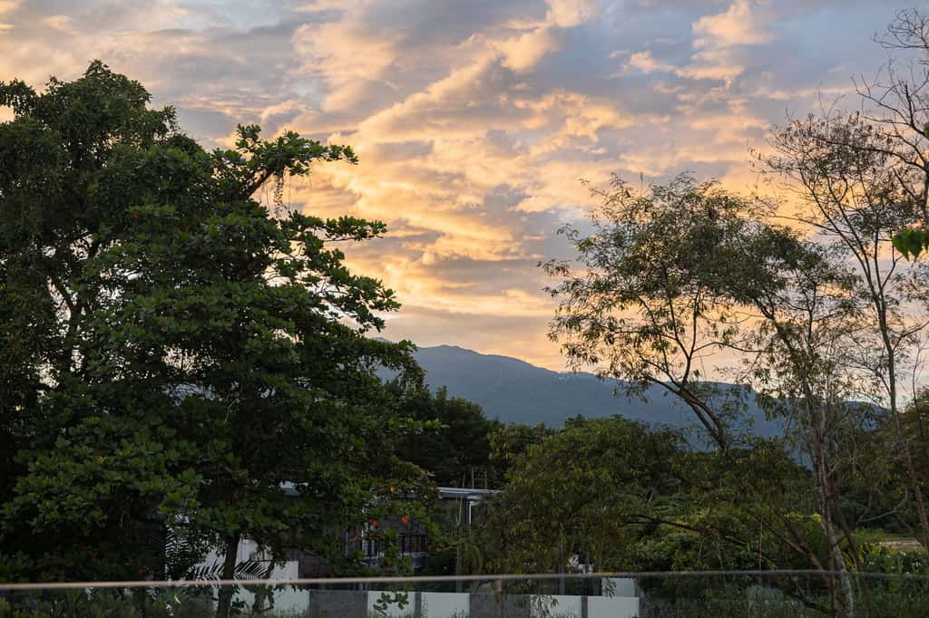 picture CANALO – Modern Craft Luxury House - 247/263