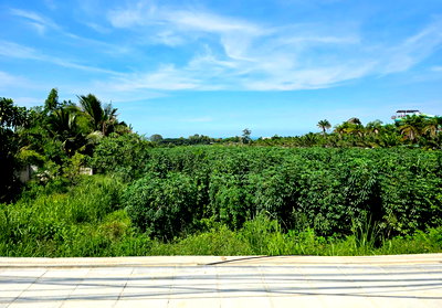 ที่ดิน นาจอมเทียน ชลบุรี : ขายที่ดินแปลงสวย 19 ไร่ 2 งาน ซอยนาจอมเทียน 50 และ 52 ทำเลดี เดินทางสะดวก ต.นาจอมเทียน อ.สัตหีบ จ.ชลบุรี