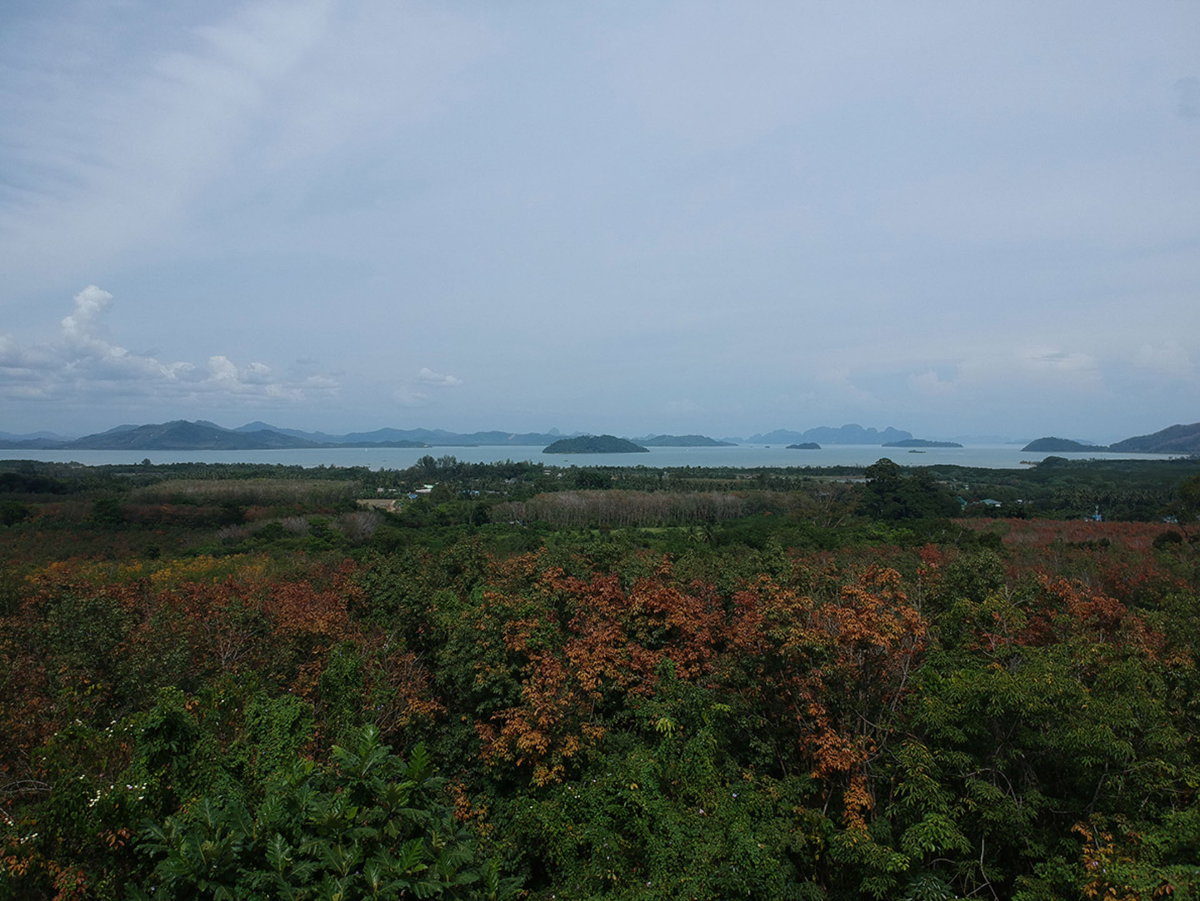 รูป ที่ดินวิวทะเลพิเศษสำหรับขาย – บ้านพารา ป่าคลอก ภูเก็ต | 7 ไร่ | วิวทะเลพาโนรามา 180 องศา - รูปที่ 2/12