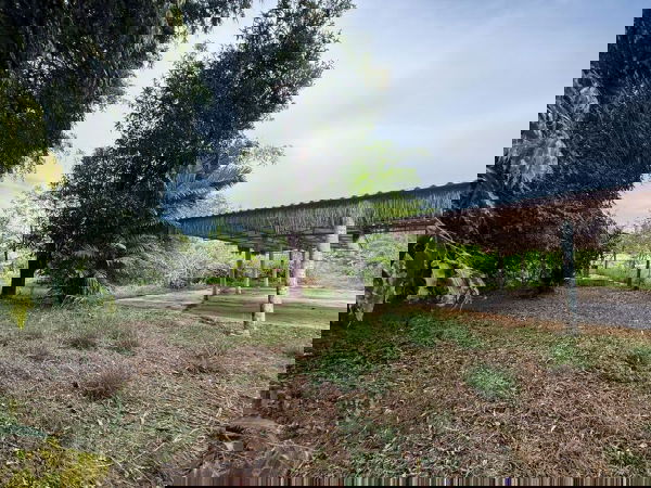 รูป ขายที่ดินติดทะเลบางพระ ศรีราชา ชลบุรี วิวทะเลสวย ทำเลหายาก - รูปที่ 13/17