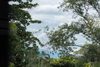 listing thumbnail image 221