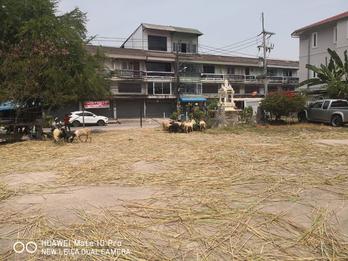 รูป ขายที่ดิน 6 ไร่ พัทยาใต้ ซอย 2 หรือสุขุมวิท 46/3 เหมาะทำคอนโด โรงแรม 8 ชั้น ตรว.ละ 80,000 บาท - รูปที่ 4/7