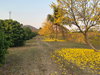listing thumbnail image 14