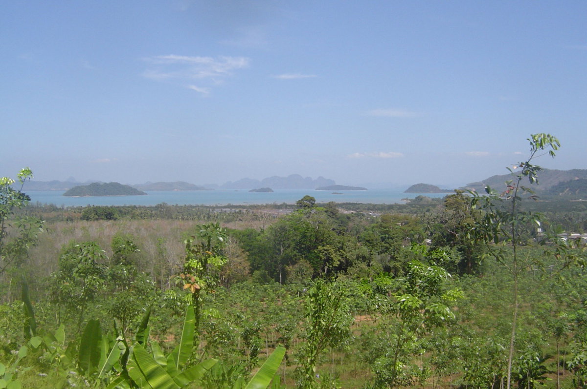 รูป ที่ดินวิวทะเลพิเศษสำหรับขาย – บ้านพารา ป่าคลอก ภูเก็ต | 7 ไร่ | วิวทะเลพาโนรามา 180 องศา - รูปที่ 12/12