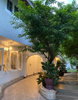 listing thumbnail image 0