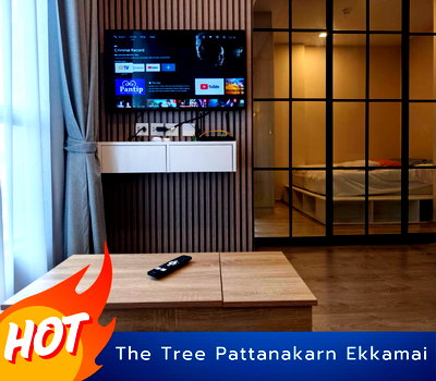 คอนโดให้เช่า : [ให้เช่า] ✨ The tree pattanakarn ekkamai ใกล้ APL รามคำแหง - 12,499/ด. ✨ห้องสวย เฟอร์นิเจอร์ครบ  //สอบถามเพิ่มเติมที่ LineID: @promptyou1