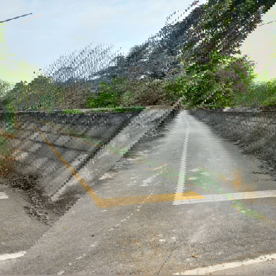 รูป ที่ดินผืนใหญ่ บ้านและสวน อ.ปัว จ.น่าน - รูปที่ 2/9