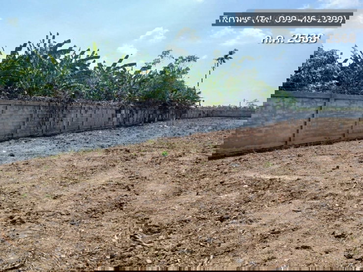 รูป 📍 ที่ดิน 2 ไร่ ให้เช่า ติดถนนมาลัยแมน ถมดิน + ล้อมรั้วแล้ว 🔥 สนใจทักเลย! 🔥 - รูปที่ 10/12