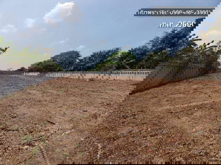 รูป 📍 ที่ดิน 2 ไร่ ให้เช่า ติดถนนมาลัยแมน ถมดิน + ล้อมรั้วแล้ว 🔥 สนใจทักเลย! 🔥 - รูปที่ 8/12