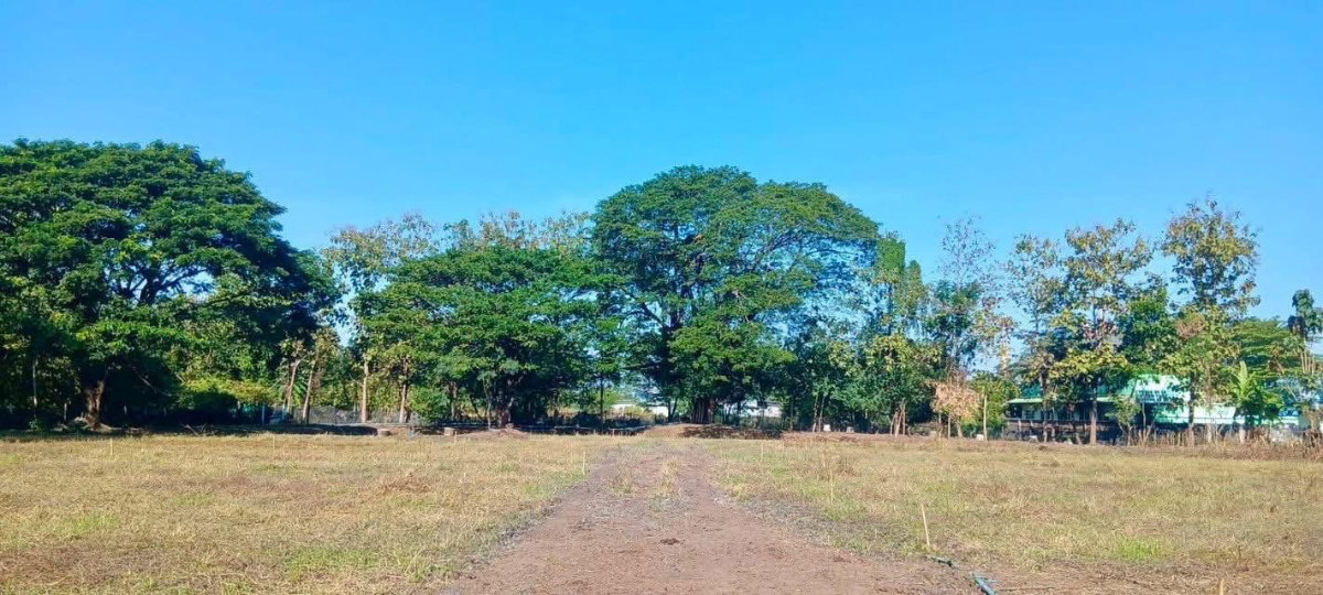 รูป ขายที่ดินเปล่า จังหวัดเชียงใหม่ ติดถนนวงแหวนรอบ 4 - รูปที่ 2/8