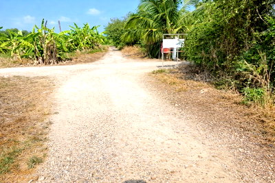 ที่ดิน สระบุรี : ขายที่ดินแปลงเดียว 2 โฉนด 250 ไร่ หนองหมู วิหารแดง สระบุรี เหมาะทำเกษตรและลงทุน