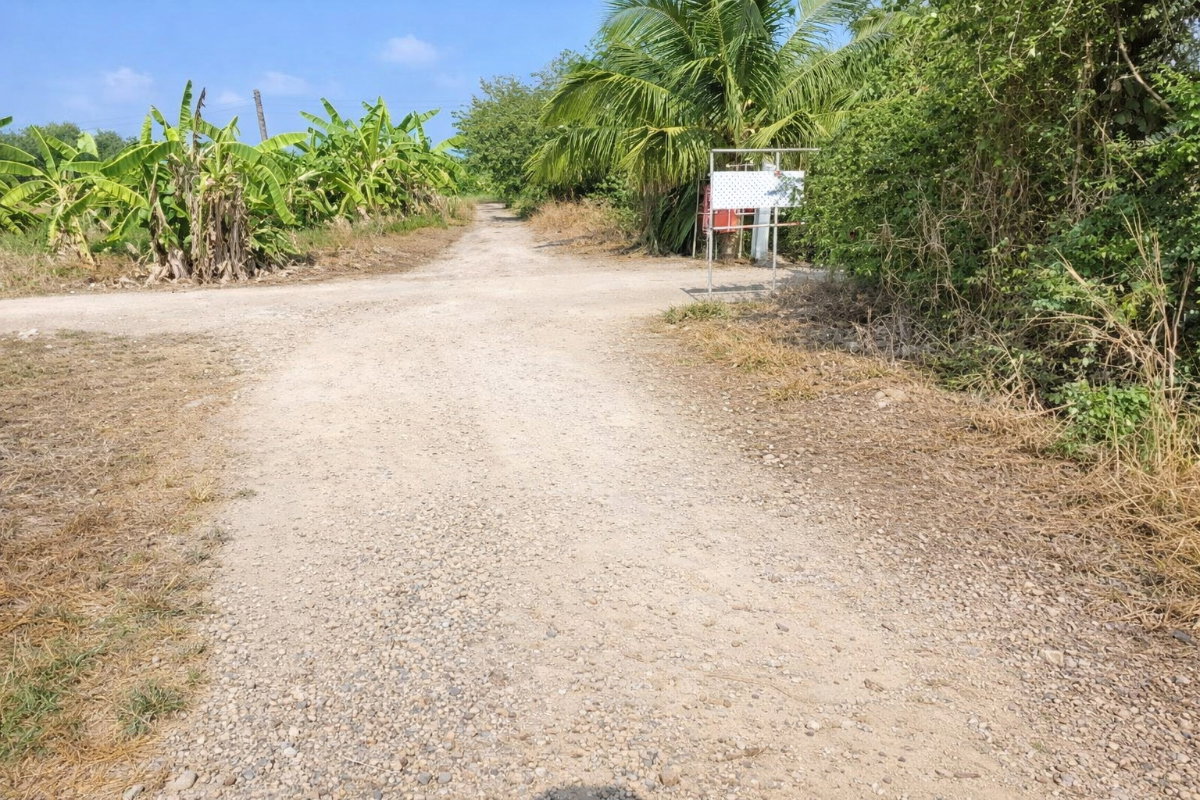รูป ขายที่ดินแปลงเดียว 2 โฉนด 250 ไร่ หนองหมู วิหารแดง สระบุรี เหมาะทำเกษตรและลงทุน - รูปที่ 1/8