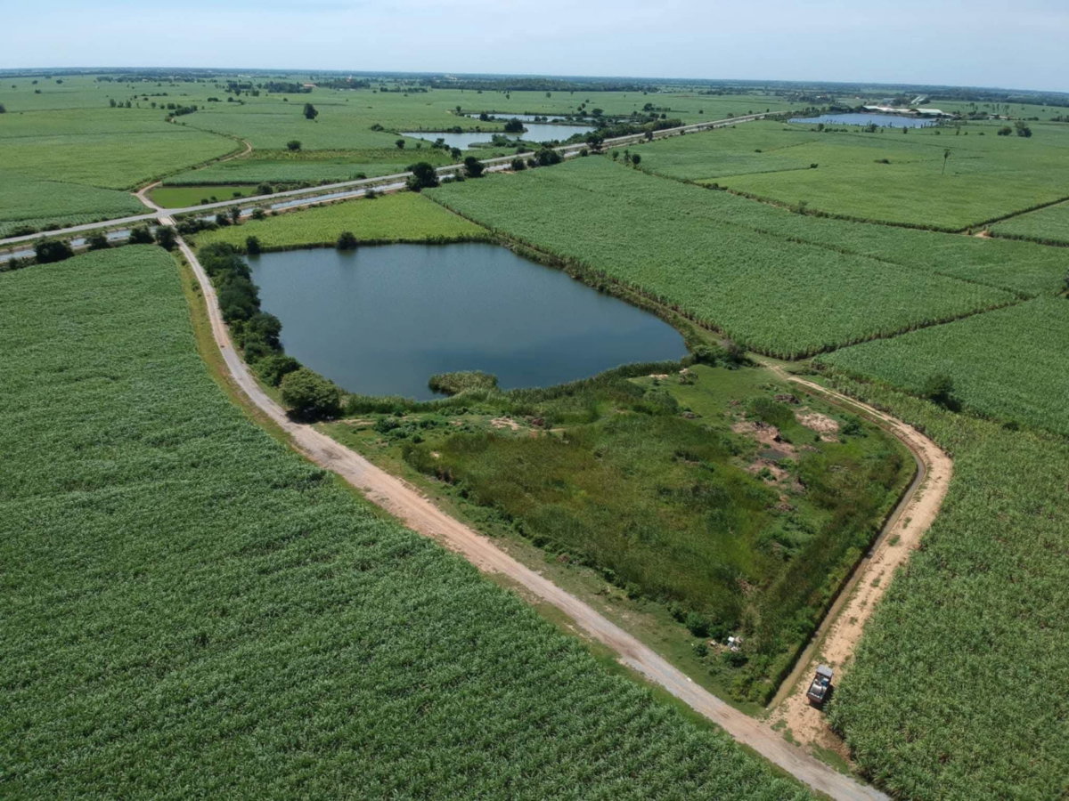 รูป ขายที่ดินโปรเจคโครงการบ้านริมทะเลสาบ บ้านสวน สวนน้ำรีสอร์ต ฟิชชิ่งฟาร์มารีสอร์ต - รูปที่ 3/9