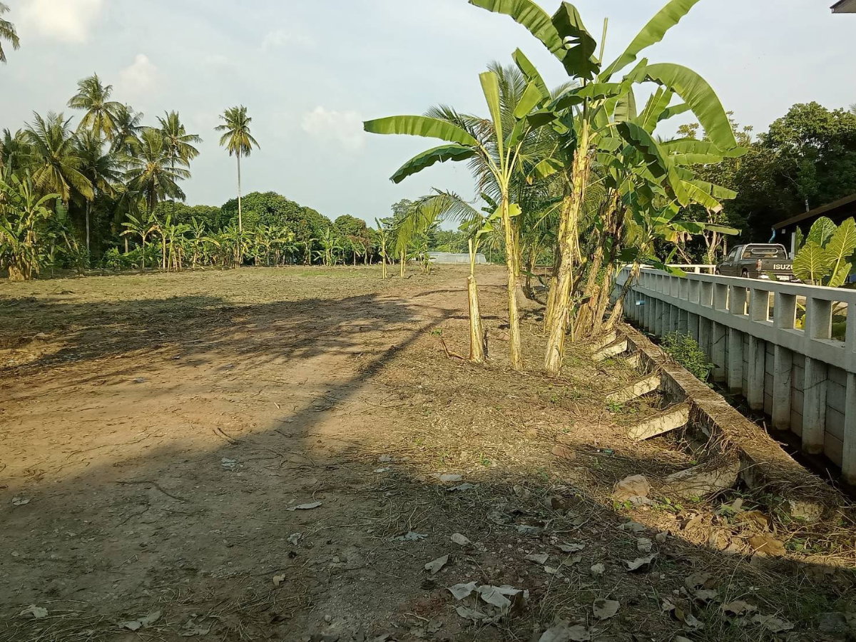 รูป ขายที่ดินติดแม่น้ำแม่กลอง อำเภอบางคนที จังหวัดสมุทรสงคราม (แปลงสวยฮวงจุ้ยแอ่งท้องมังกร จากซินแสจีนตระกูลเจ้าของที่ที่ทำธุรกิจระดับ TOP 10 ของประเทศ) - รูปที่ 3/7