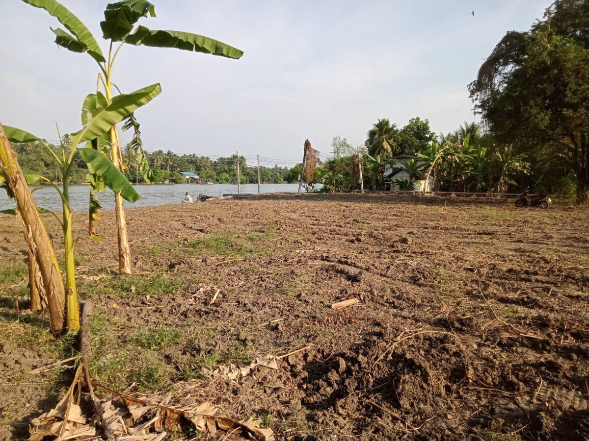 รูป ขายที่ดินติดแม่น้ำแม่กลอง อำเภอบางคนที จังหวัดสมุทรสงคราม (แปลงสวยฮวงจุ้ยแอ่งท้องมังกร จากซินแสจีนตระกูลเจ้าของที่ที่ทำธุรกิจระดับ TOP 10 ของประเทศ) - รูปที่ 4/7