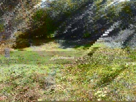 รูป ขายที่ดิน อ.ปาย จ.แม่ฮ่องสอน เนื้อที่ 4-3-91 ไร่ - รูปที่ 3/3