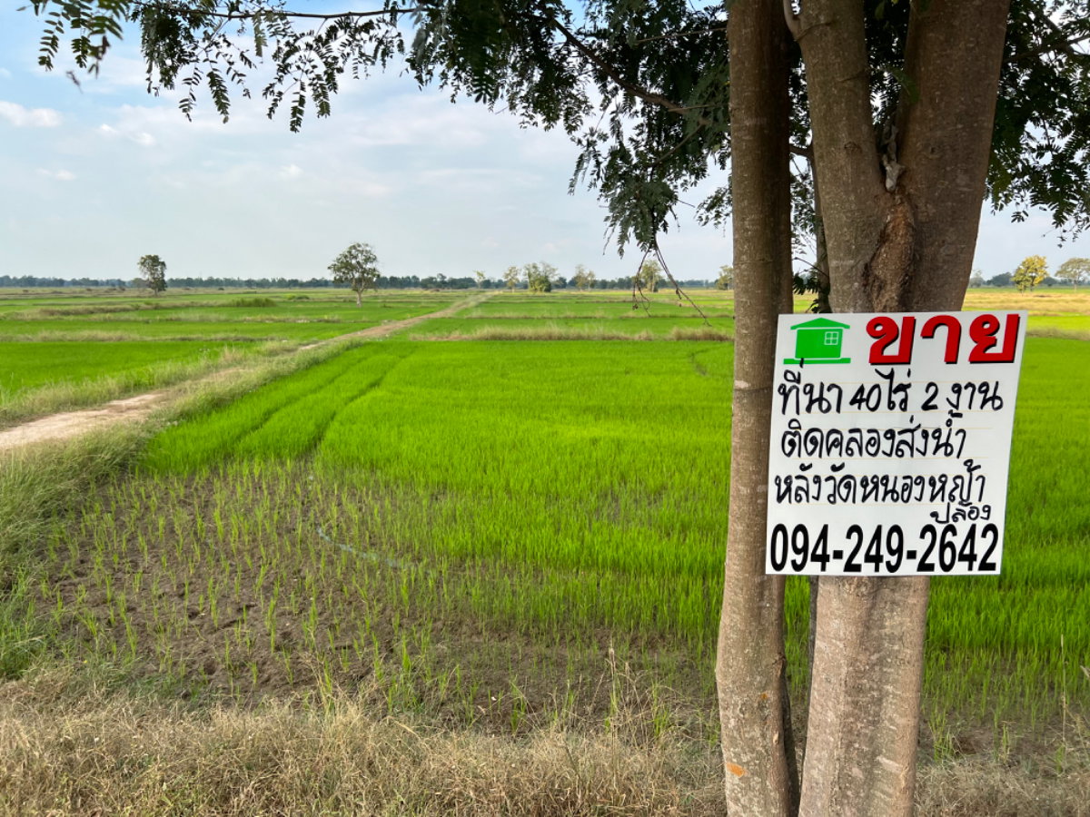 รูป ขายที่นา 40 ไร่ 2 งาน หลังวัดหนองหญ้าปล้อง ด้านหน้าติดถนนลูกรังและคลองส่งน้ำ - รูปที่ 1/6