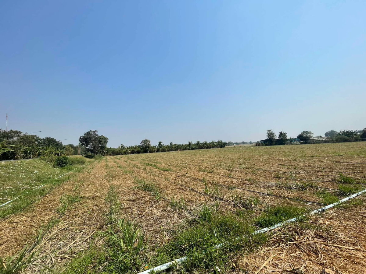 รูป ขายที่ดินอู่ทอง สุพรรณบุรี 20 ไร่ 16.40 ลบ. - รูปที่ 3/6