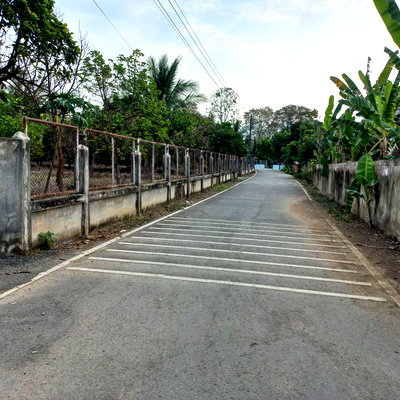 ที่ดิน ปัว น่าน : ที่ดินผืนใหญ่ บ้านและสวน อ.ปัว จ.น่าน