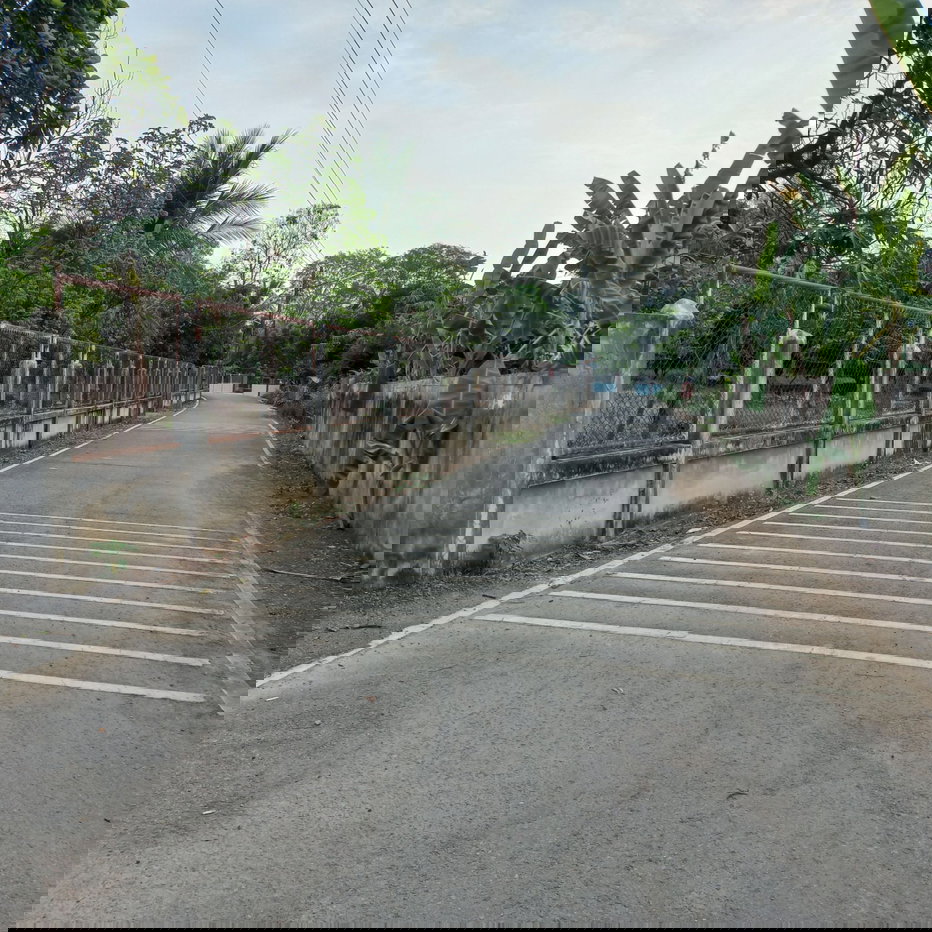 รูป ที่ดินผืนใหญ่ บ้านและสวน อ.ปัว จ.น่าน - รูปที่ 1/9