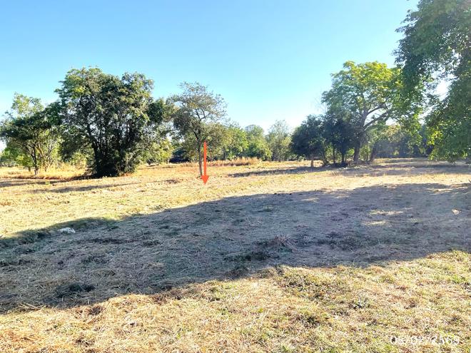 picture LAND for sale Dun Kanthararom Si Sa Ket - 4/16