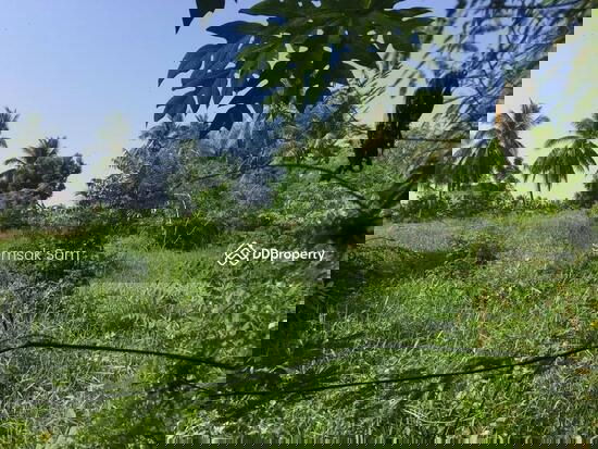 รูป ขายที่ดินใกล้ทางขึ้นลงมอเตอร์เวย์ จ.นครปฐม (131 ตรว.) - รูปที่ 3/4